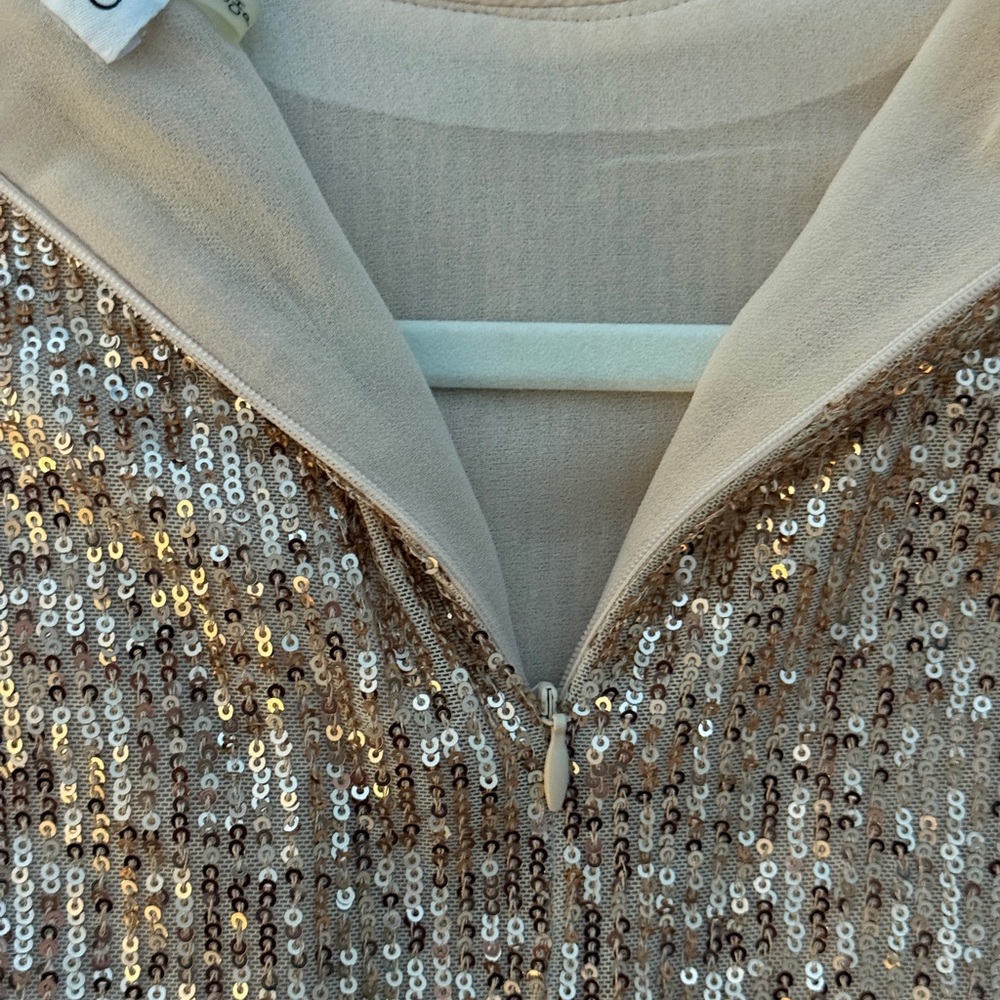 Calvin Klein Champagne Color Sleeveless Sequined Top Small Night Out Party - Picture 6 of 8